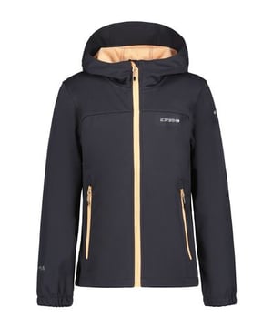 
<p><h2>Introductie</h2>
</p>
<p>De Icepeak Kleve jr jas is een uitstekende optie voor meisjes die op zoek zijn naar een jas die warm en comfortabel is. De ICEPEAK-merkjas is gemaakt van hoogwaardige materialen en heeft een modieuze look. Deze jas heeft een zwarte combinatie en is speciaal ontworpen voor meisjes.
</p>
<p>
</p>
<p><h2>Voordelen</h2>
</p>
<p>De Icepeak Kleve jr jas biedt veel voordelen. Het is warm en comfortabel, en biedt een superieure bescherming tegen weersinvloeden. Het is gemaakt van hoogwaardige materialen, waardoor het een lange levensduur heeft. Bovendien heeft het modieuze details zoals een klep aan de voorkant en een afneembare capuchon.
</p>
<p>
</p>
<p><h2>Belangrijke Kenmerken</h2>
</p>
<p><ul>
</p>
<p>  <li>Gemaakt van hoogwaardige materialen voor een lange levensduur.</li>
</p>
<p>  <li>Warm en comfortabel met een modieuze look.</li>
</p>
<p>  <li>Biedt superieure bescherming tegen weersinvloeden.</li>
</p>
<p>  <li>Voorzien van een klep aan de voorkant en een afneembare capuchon.</li>
</p>
<p>  <li>Geschikt voor meisjes.</li>
</p>
<p></ul>
</p>
<p>
</p>
<p><h2>Samenvatting</h2>
</p>
<p>De Icepeak Kleve jr jas is perfect voor meisjes die op zoek zijn naar een warm, comfortabel en modieus jasje. Het is gemaakt van hoogwaardige materialen voor een lange levensduur. Het biedt superieure bescherming tegen weersinvloeden en is voorzien van een klep aan de voorkant en een afneembare capuchon.</p>