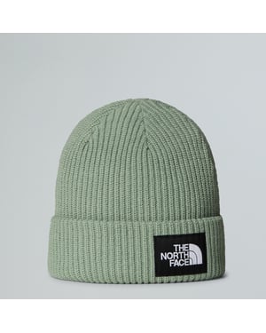 Salty Lined Beanie TNF