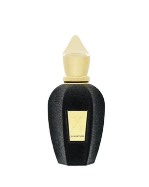 Xerjoff V Collection Ouverture Eau de Parfum for Women - 470g