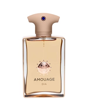 Amouage Dia Man Eau de Parfum Spray for Men - Luxurious Chypre Fragrance - 610g
