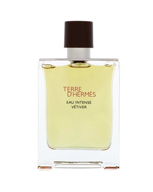 Hermès Terre d'Hermès Eau Intense Vetiver Eau de Parfum for Men 100ml