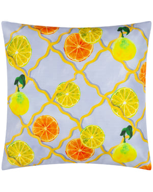 Wylder Nature Citrus Trellis Printed Outdoor Filled Cushion