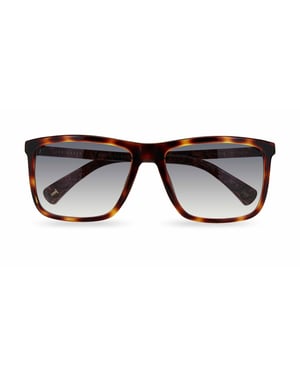 Ted Baker Sunglasses TB1663 Havna 122 Havana Grey Gradient