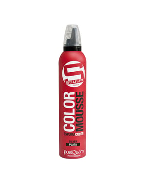 FÄRGMOUSSE _ SILVER 300 ML.