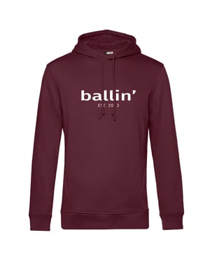 Ballin Est. 2013 Basic hoodie