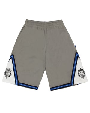 Vintage Nike Mens Lebron James 23 Grey Basketball Shorts