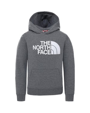 The North Face Unisex Kids Drew Peak Borduur Hoodie Grijs