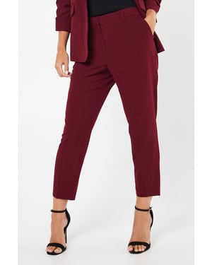 Petite Plain Ankle Grazer