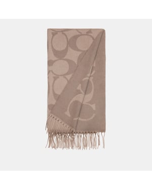 Signature C Oversized Logo Muffler