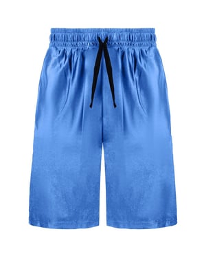 Converse Logo Mens Blue/Black Shorts
