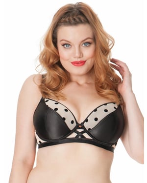 Scantilly Showtime Padded Bra