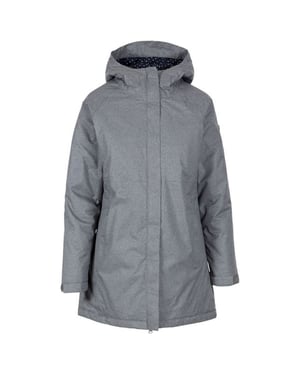 Trespass Waterdichte dames/dames winterjas (Grijs)