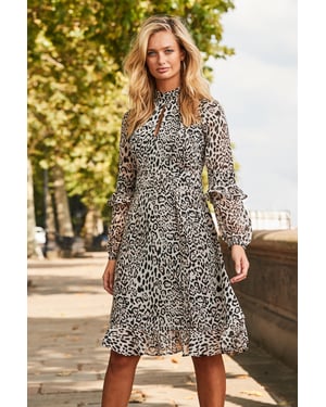 Leopard Print Fit & Flare Ruffle Dress