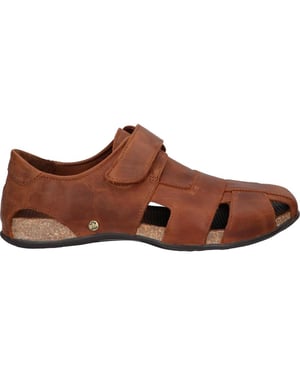Panama Jack sandalen voor heren in bruin