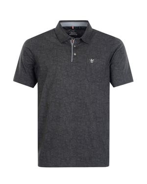 hajo polo