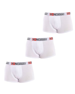 Pack-3 Boxers Geographical Norway man