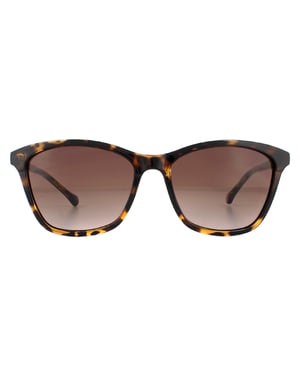 Ted Baker Zonnebril TB1440 Tari 122 Havana Bruin Verloop