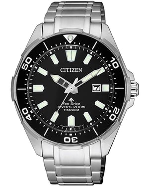 Citizen Promaster Land Heren Zilveren Horloge BN0200-81E