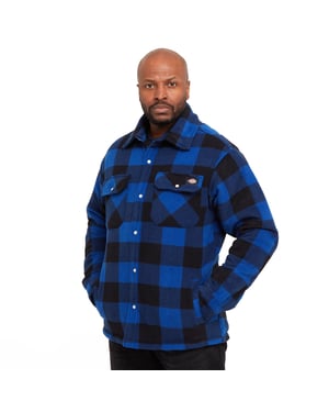 Dickies Heren Portland Shirt