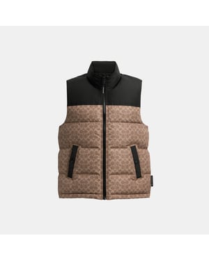 Signature Down Vest