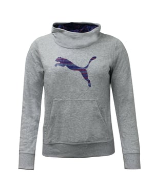 Puma FUN TD Grey Junior Hooded Sweat