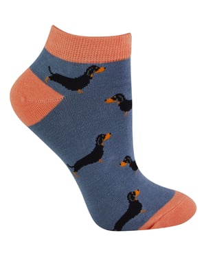 Ladies Bamboo Trainer Socks | Miss Sparrow | Breathable Low Cut Socks for Women - Sausage Dogs (Blue)