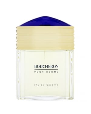 Boucheron Pour Homme Edt Spray 100 ml
