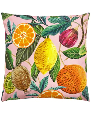 Evans Lichfield Citrus Outdoor Cushion Cover