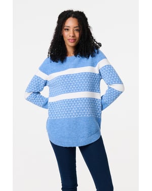 Blue Stripe Print Relaxed Curve Hem Jumper
