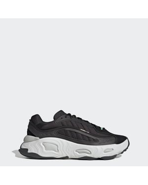 OZNOVA Shoes