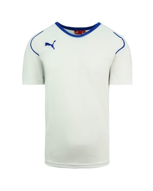 Puma V5.08 Kortärmad Rund Hals Vit Herr Fotbollströja 700471 13