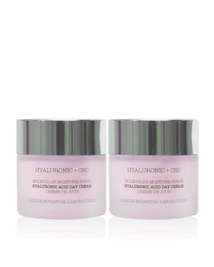 2 x Hyaluronic Acid + CBD | Molecular Moisture Surge Hyaluronic Acid Day Cream 50ml