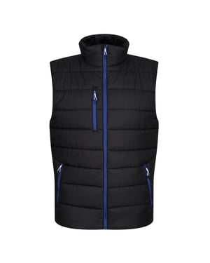 Regatta Thermische bodywarmer Navigate voor heren (Zwart/Nieuw Royal)