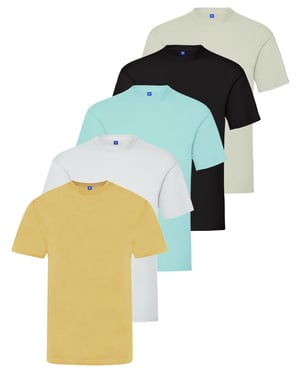 Kruze | Mens Crew Neck T-Shirts (5 Pack) - BLK/GRY/WHT/SKY/BEIGE