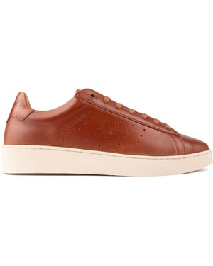 Sole Lab Zinkskor