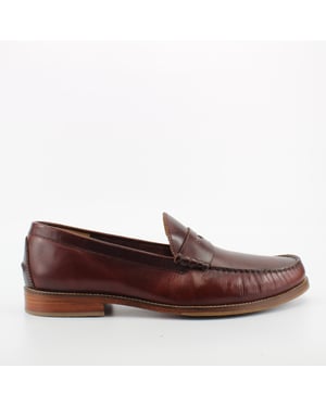 J Schoenen Stephen Heren Bruin
