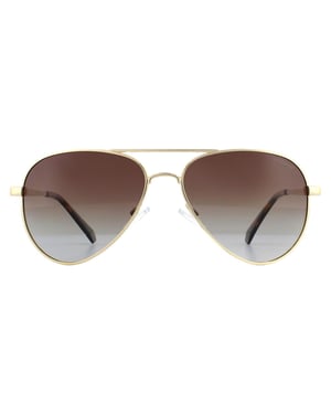 Polaroid Aviator Mens Gold Brown Gradient Polarized Sunglasses
