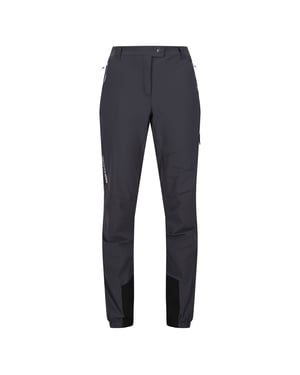 Regatta Womens/Ladies Mountain III Walking Trousers (Seal Grey)