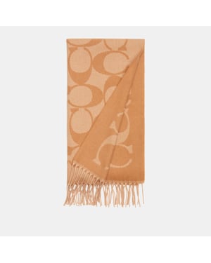 Signature C Oversized Logo Muffler