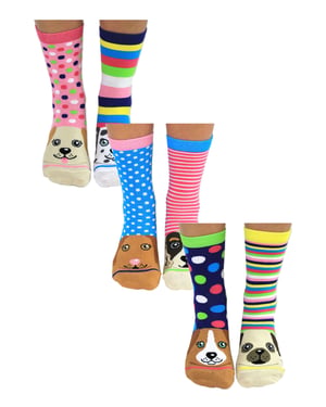 UNITED ODD SOCKS - 6-pack udda damstrumpor i bomull med presentförpackning - Paws