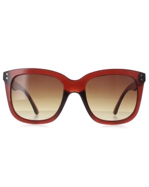 Calvin Klein CK22550S 210 transparant bruin zonnebril met kleurverloop
