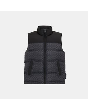 Signature Down Vest