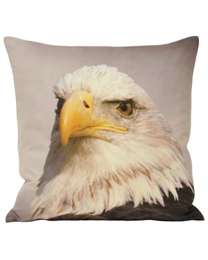 Animal Eagle 45X45 Poly Cushion