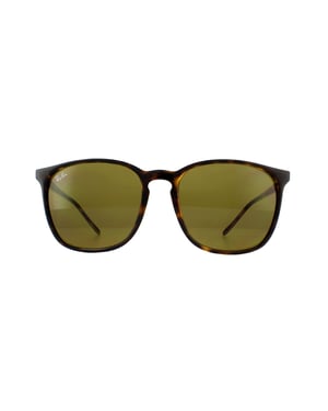 Ray-Ban Zonnebril RB4387 710/73 Schildpadshell Bruin