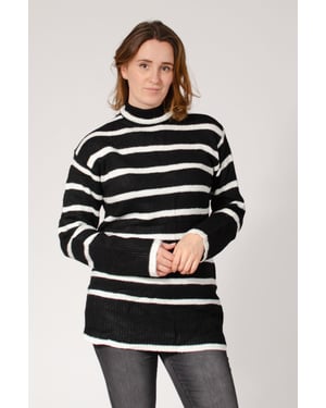Longline Striped Roll Neck Jumper