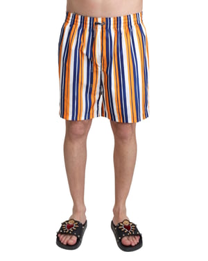 Dolce & Gabbana Men's Multicolor Striped Beachwear Swimshorts