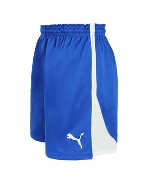 Puma V5.06 Handboll Dam Blå/Vit Shorts