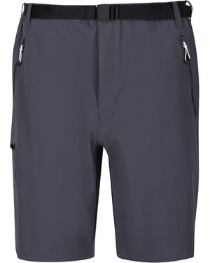 Regatta Heren Xert III Stretch Shorts (Afdichting Grijs)