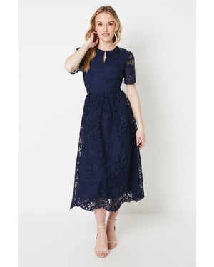 Occasion Lace Collared Midi Dress
