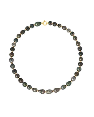 Choker Ketting Tahitian Parels Ringed 10-11mm Luxury Geel gouden gesp